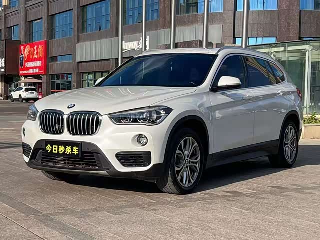 BMW BMW X1 2019 — фото 1