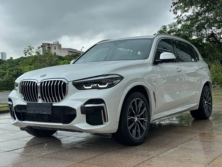 BMW BMW X5 2022 — фото 1