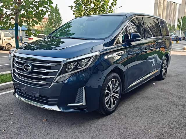 GAC Trumpchi Trumpchi M8 2020 — фото 1