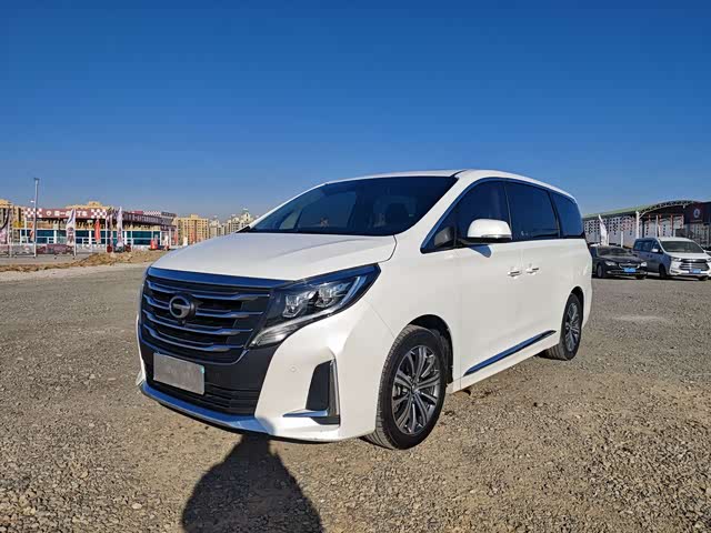 GAC Trumpchi Trumpchi M8 2020 — фото 1
