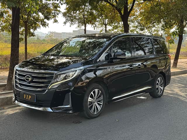 GAC Trumpchi Trumpchi M8 2020 — фото 1