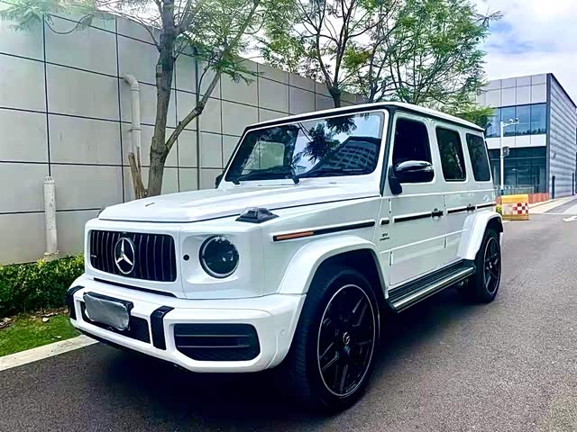 Mercedes-Benz Mercedes-Benz G-Class AMG 2019 — фото 1