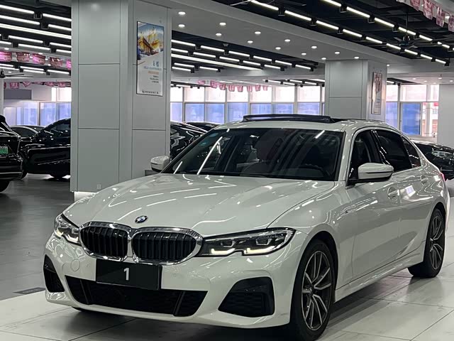 BMW BMW 3 Series 2020 — фото 1