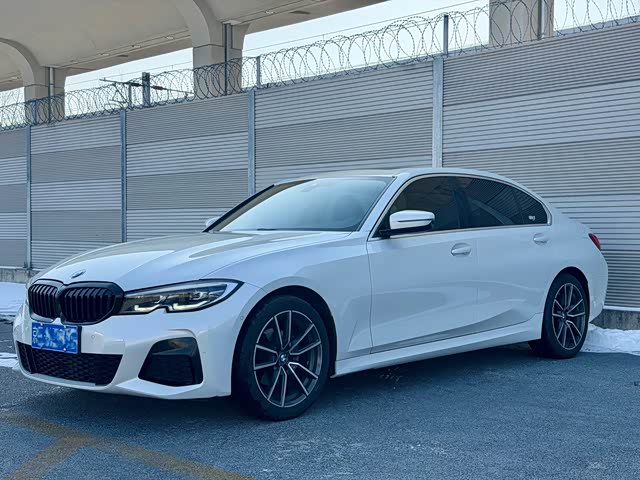 BMW BMW 3 Series 2020 — фото 1