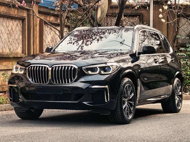 BMW BMW X5 2022 — фото 1