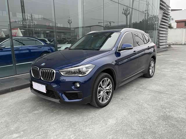 BMW BMW X1 2019 — фото 1