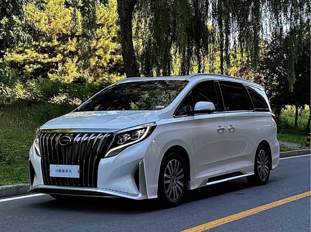 GAC Trumpchi M8 2021 — фото 1