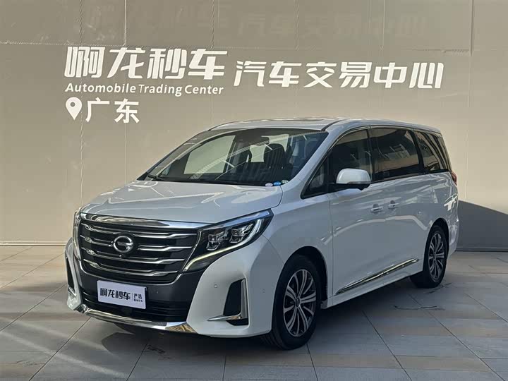 GAC Trumpchi Trumpchi M8 2020 — фото 1