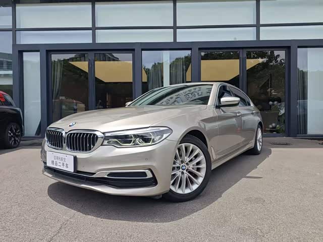 BMW BMW 5 Series 2020 — фото 1