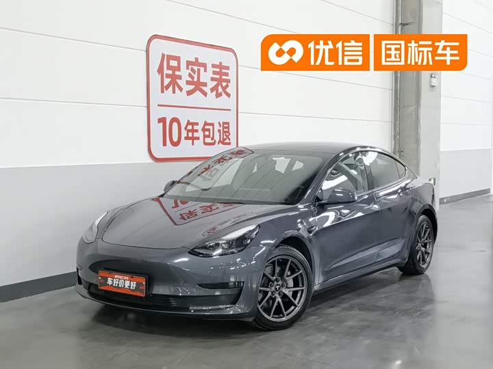 Tesla Model 3 2021