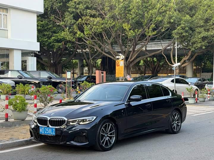 BMW BMW 3 Series 2020 — фото 1