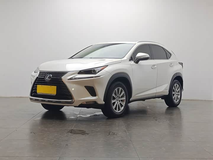 Lexus Lexus NX 2020 — фото 1
