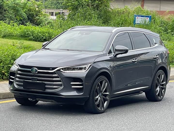 BYD Tang New Energy 2019 — фото 1